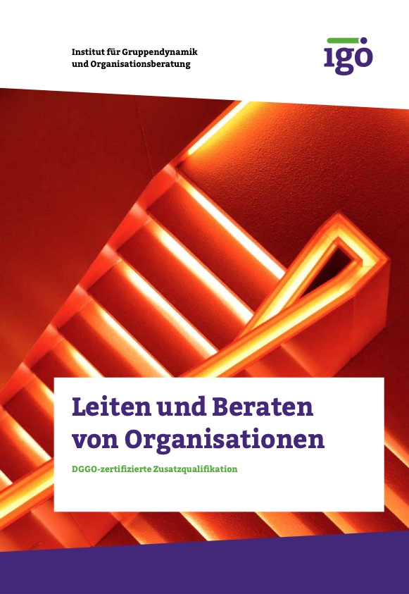 Leiten und Beraten von Organisationen